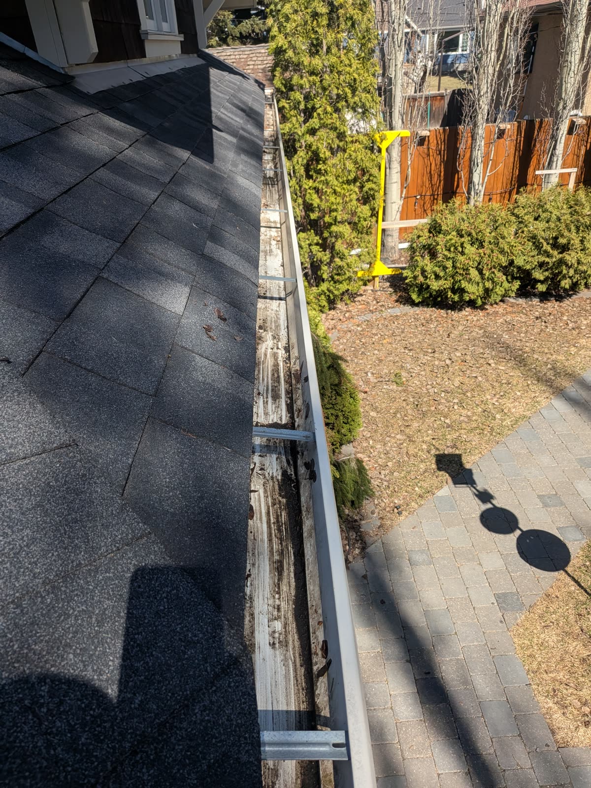 Gutter full of debris before cleaning service